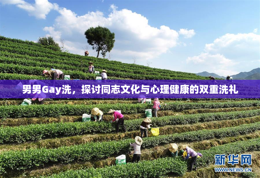 男男Gay洗，探讨同志文化与心理健康的双重洗礼