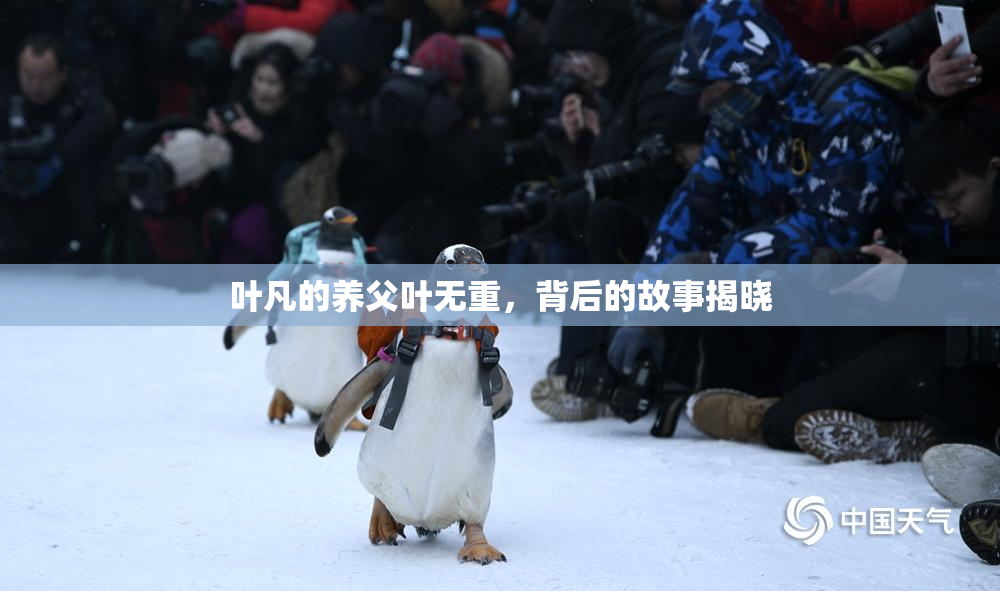叶凡的养父叶无重，背后的故事揭晓