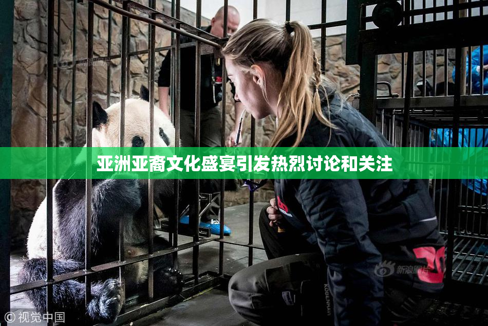 亚洲亚裔文化盛宴引发热烈讨论和关注