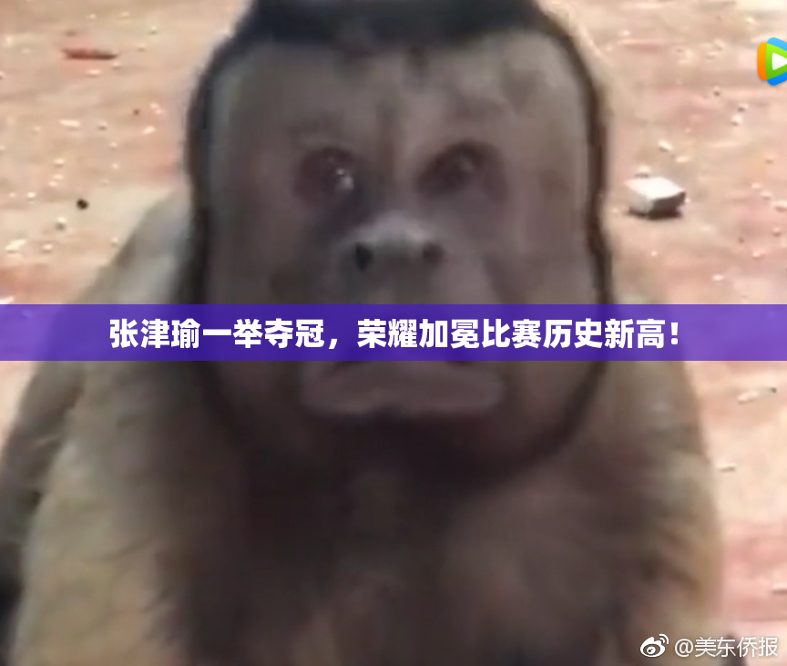 张津瑜一举夺冠，荣耀加冕比赛历史新高！