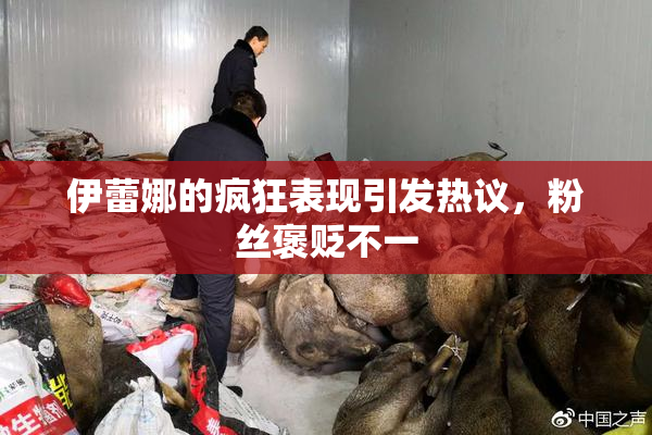 伊蕾娜的疯狂表现引发热议，粉丝褒贬不一