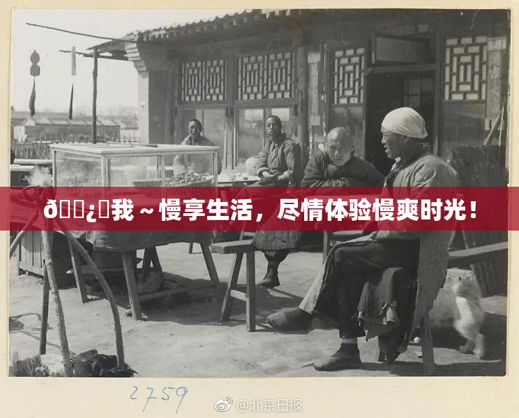 🌿‌我～慢享生活，尽情体验慢爽时光！