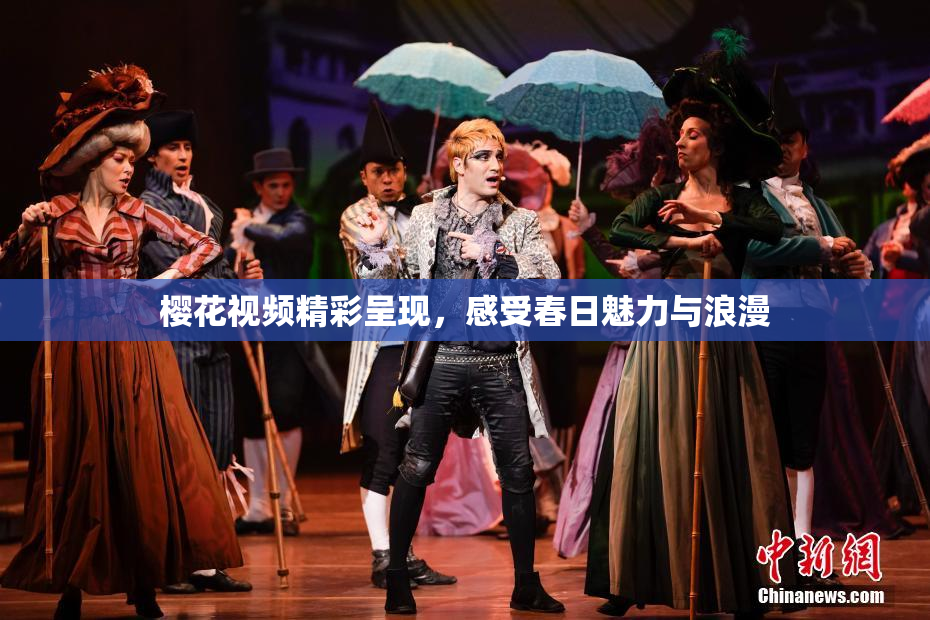 樱花视频精彩呈现，感受春日魅力与浪漫