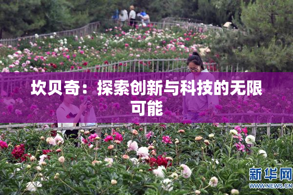 坎贝奇：探索创新与科技的无限可能