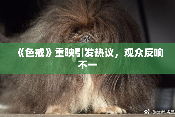《色戒》重映引发热议，观众反响不一
