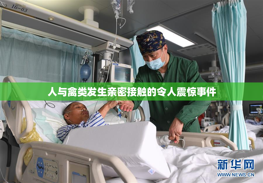 人与禽类发生亲密接触的令人震惊事件