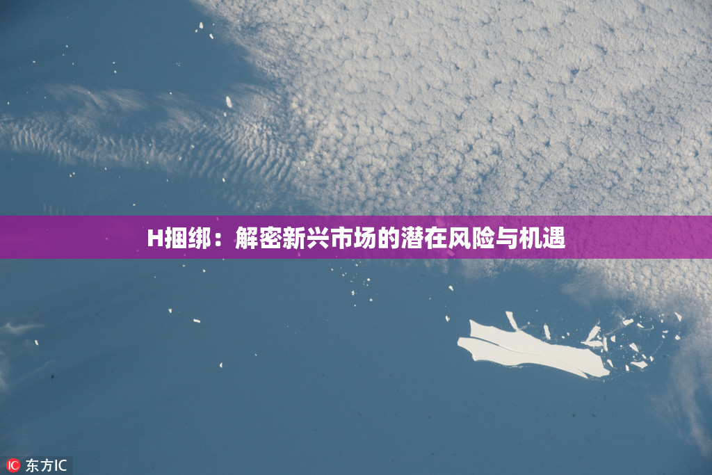 H捆绑：解密新兴市场的潜在风险与机遇