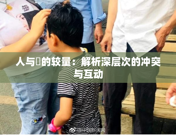 人与嘼的较量：解析深层次的冲突与互动
