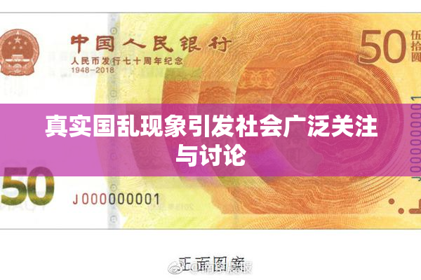 真实国乱现象引发社会广泛关注与讨论