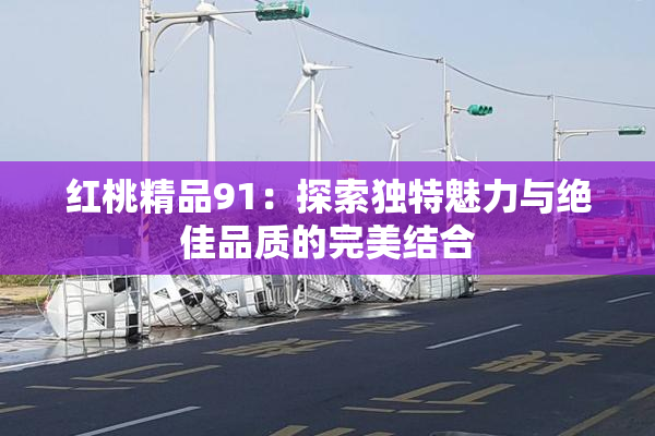 红桃精品91：探索独特魅力与绝佳品质的完美结合