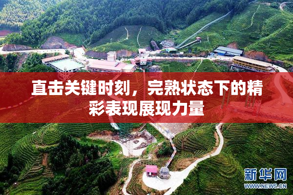 直击关键时刻，完熟状态下的精彩表现展现力量