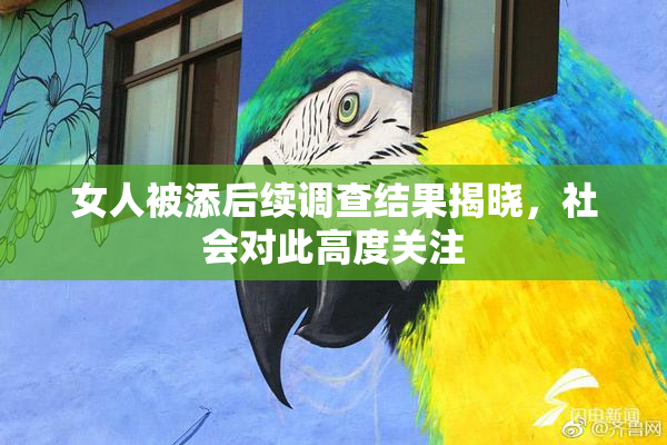女人被添后续调查结果揭晓，社会对此高度关注