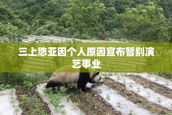 三上悠亚因个人原因宣布暂别演艺事业