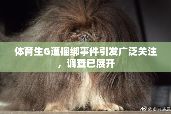 体育生G遭捆绑事件引发广泛关注，调查已展开