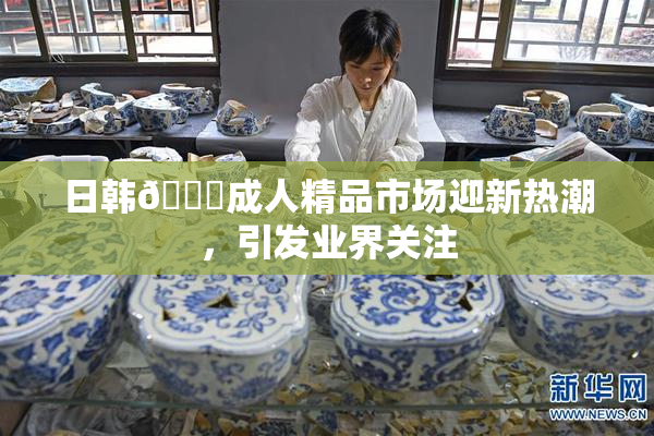 日韩🔞成人精品市场迎新热潮，引发业界关注