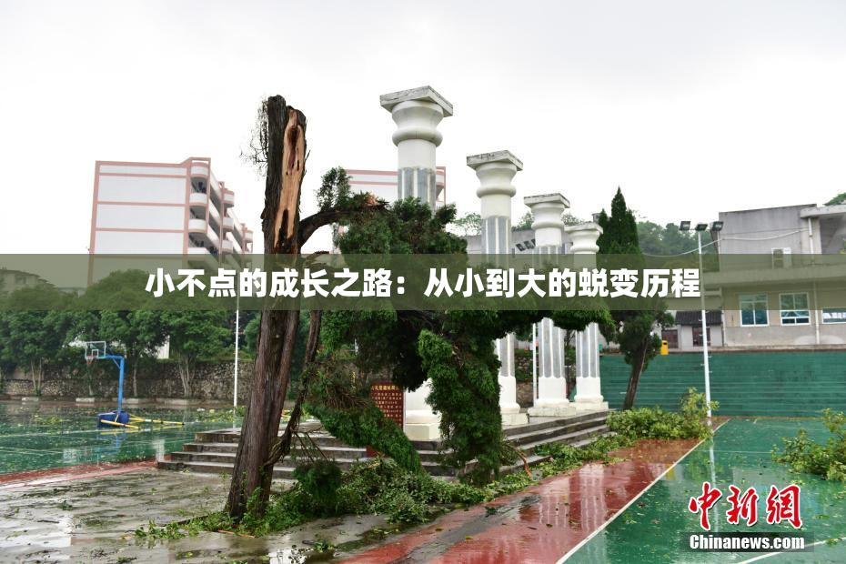 小不点的成长之路：从小到大的蜕变历程