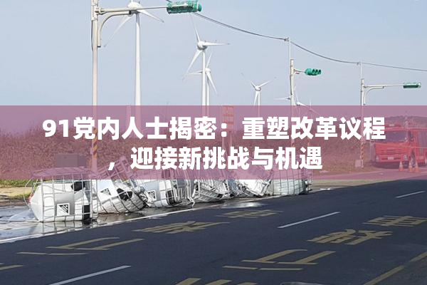 91党内人士揭密：重塑改革议程，迎接新挑战与机遇