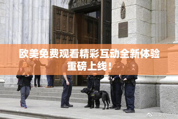 欧美免费观看精彩互动全新体验重磅上线！