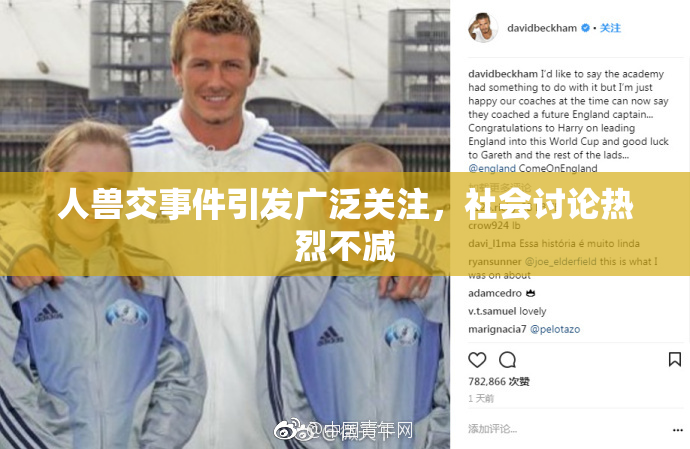 人兽交事件引发广泛关注，社会讨论热烈不减