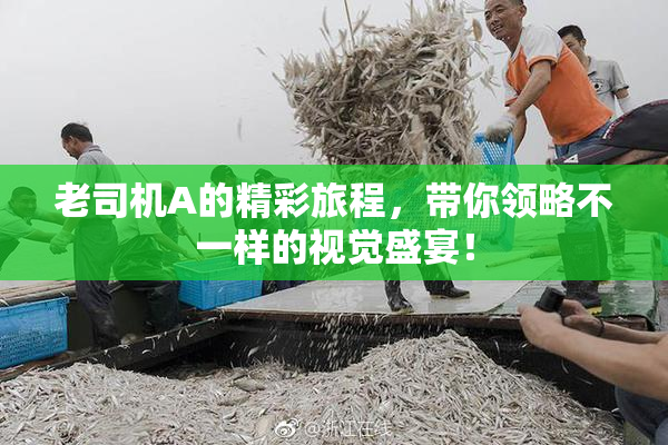 老司机A的精彩旅程，带你领略不一样的视觉盛宴！