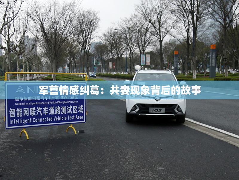 军营情感纠葛：共妻现象背后的故事