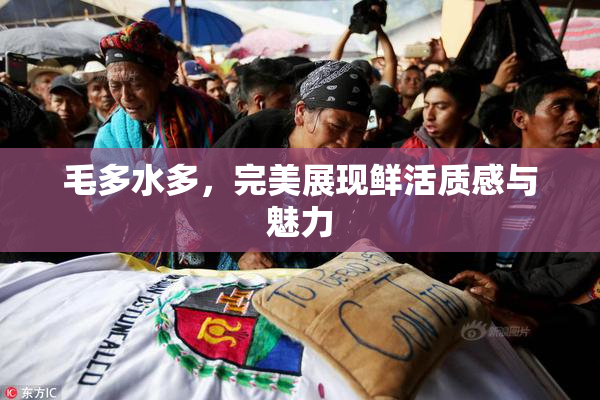 毛多水多，完美展现鲜活质感与魅力