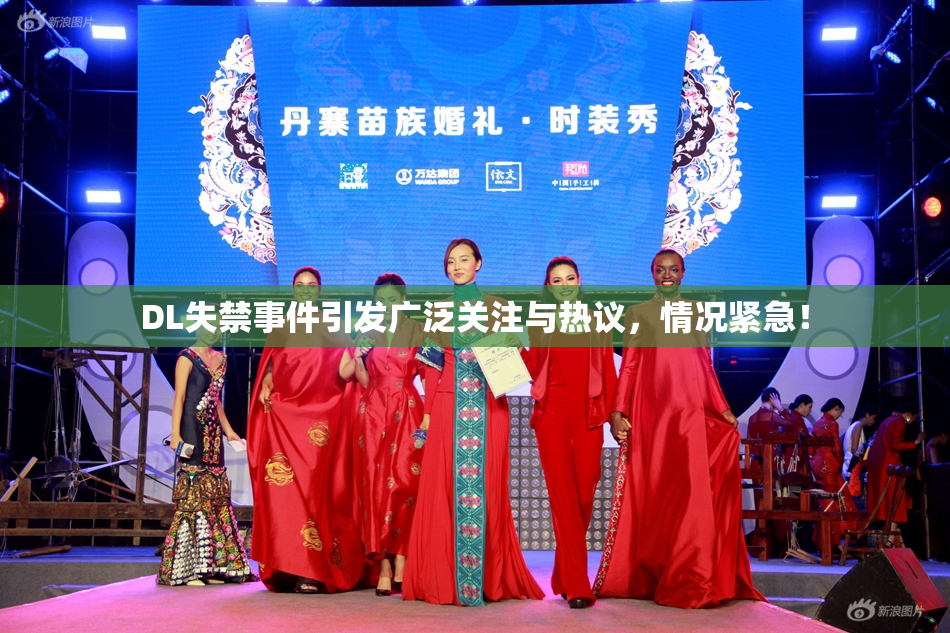 DL失禁事件引发广泛关注与热议，情况紧急！