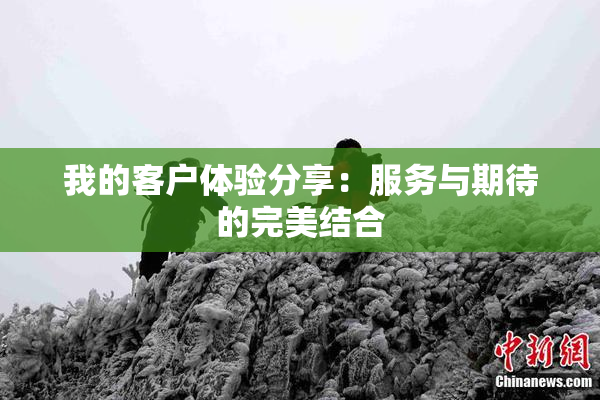 我的客户体验分享：服务与期待的完美结合