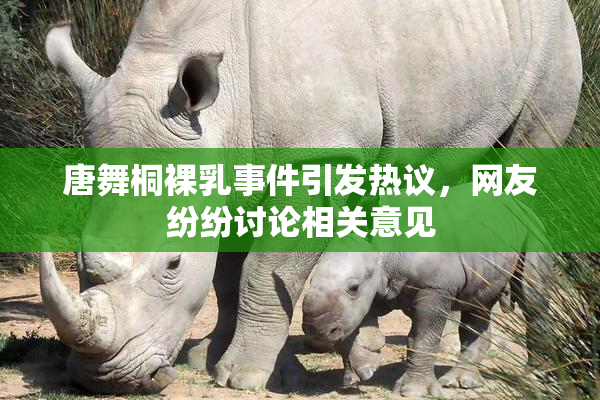 唐舞桐裸乳事件引发热议，网友纷纷讨论相关意见