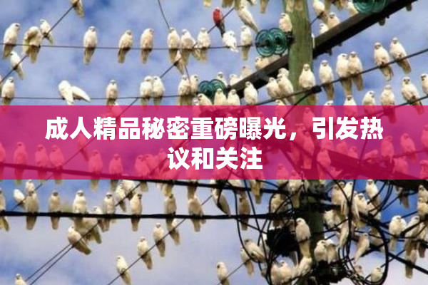 成人精品秘密重磅曝光，引发热议和关注