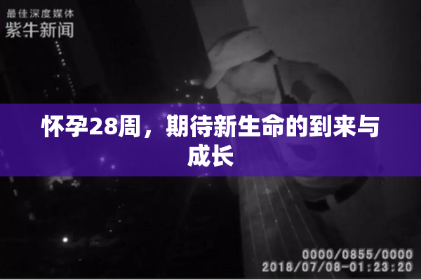 怀孕28周，期待新生命的到来与成长