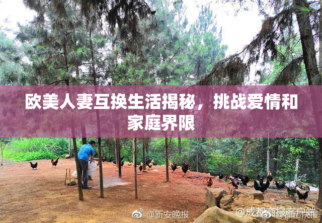 欧美人妻互换生活揭秘，挑战爱情和家庭界限