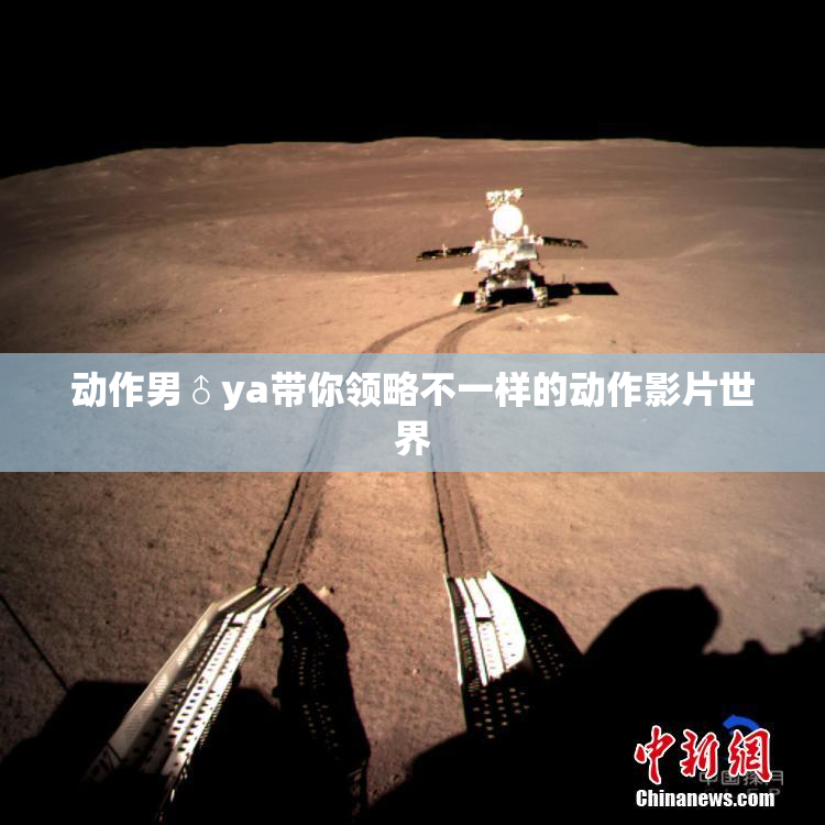 动作男♂ya带你领略不一样的动作影片世界