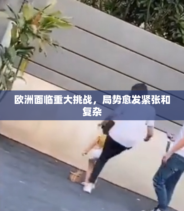 欧洲面临重大挑战，局势愈发紧张和复杂