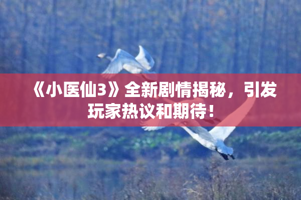 《小医仙3》全新剧情揭秘，引发玩家热议和期待！