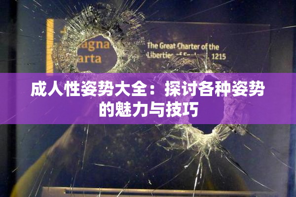 成人性姿势大全：探讨各种姿势的魅力与技巧