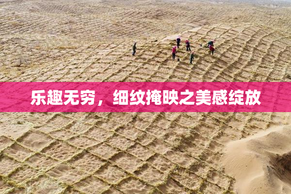 乐趣无穷，细纹掩映之美感绽放