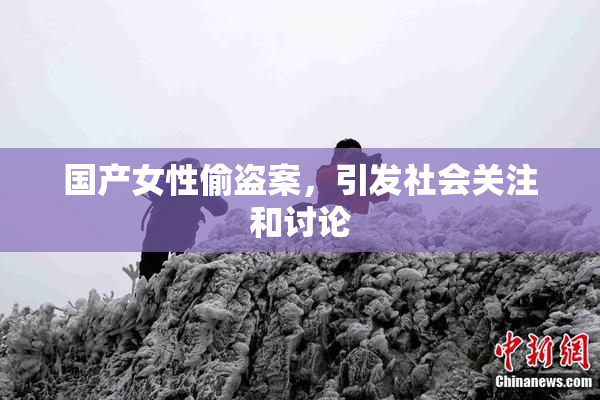国产女性偷盗案，引发社会关注和讨论