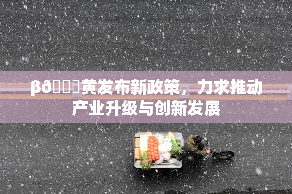 β🔞黄发布新政策，力求推动产业升级与创新发展