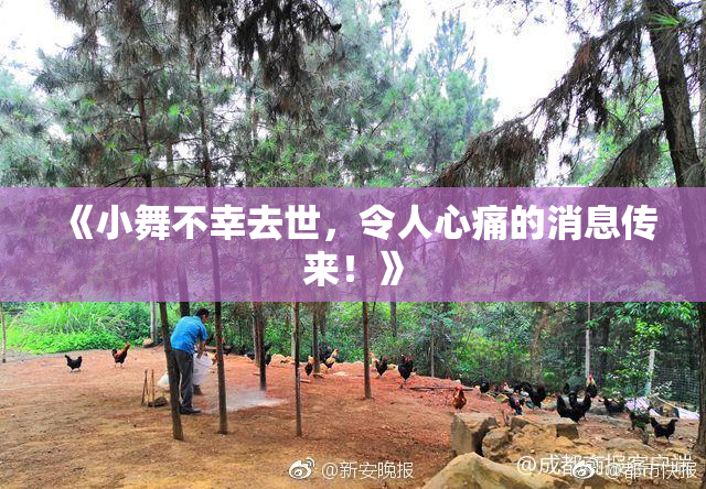 《小舞不幸去世，令人心痛的消息传来！》