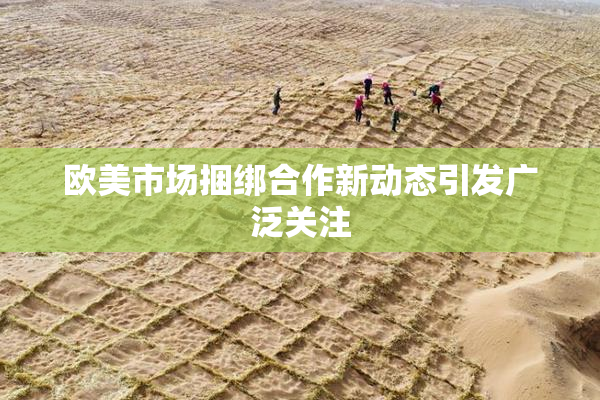 欧美市场捆绑合作新动态引发广泛关注