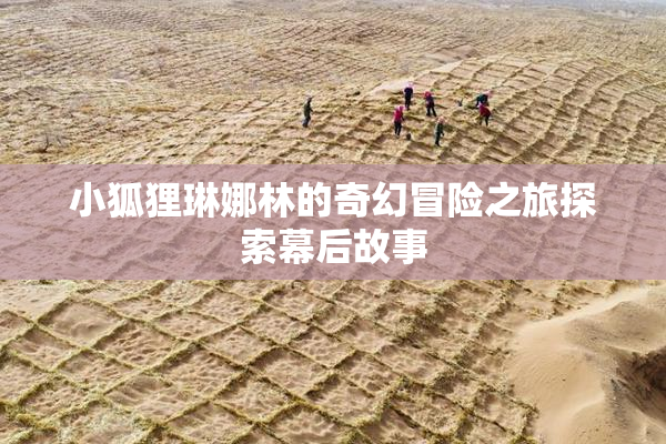小狐狸琳娜林的奇幻冒险之旅探索幕后故事