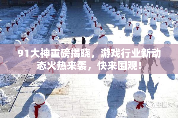 91大神重磅揭晓，游戏行业新动态火热来袭，快来围观！