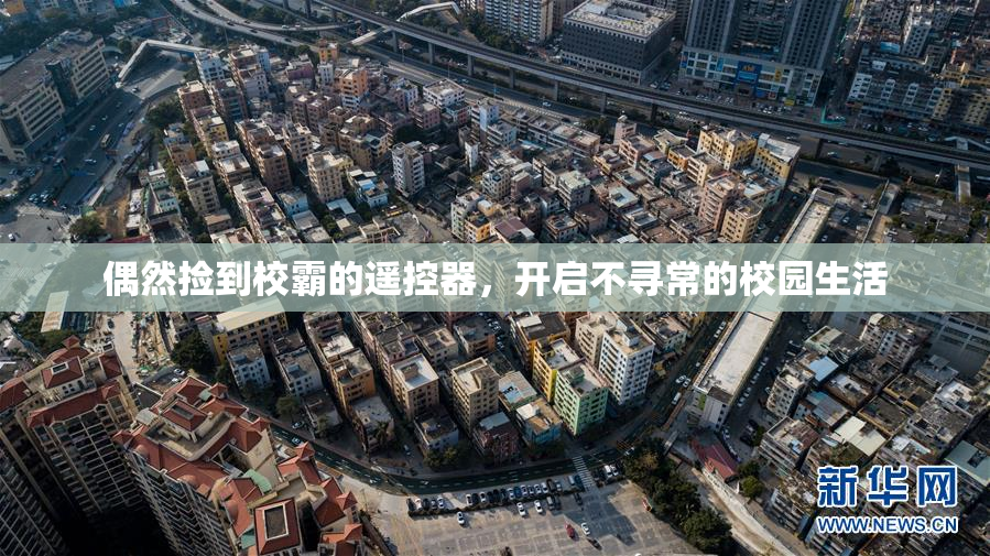 偶然捡到校霸的遥控器，开启不寻常的校园生活