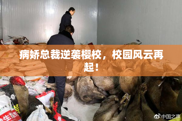 病娇总裁逆袭樱校，校园风云再起！