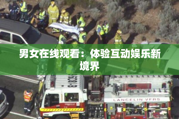 男女在线观看：体验互动娱乐新境界