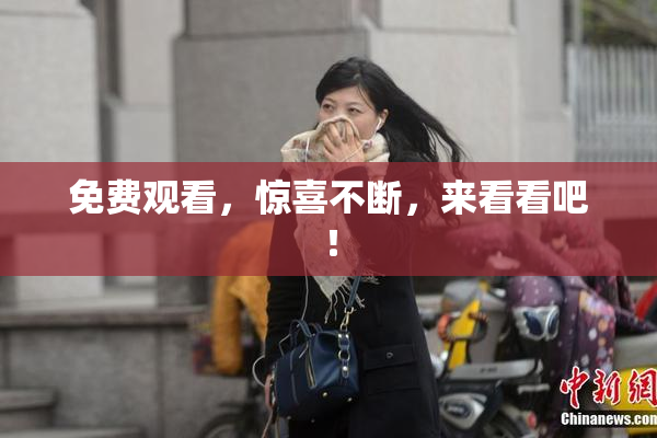 免费观看，惊喜不断，来看看吧！