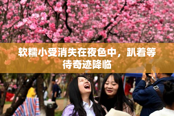 软糯小受消失在夜色中，趴着等待奇迹降临