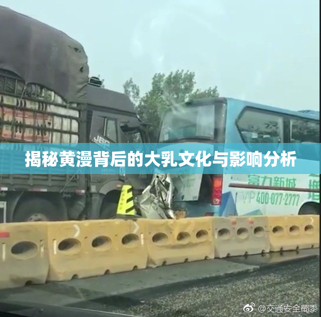 揭秘黄漫背后的大乳文化与影响分析