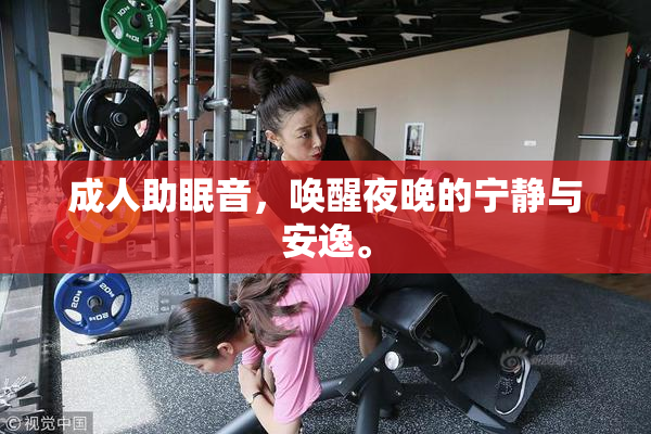 成人助眠音，唤醒夜晚的宁静与安逸。